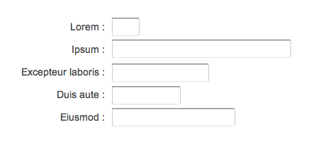 Mauvais exemple de formulaire : Champs avec tailles différentes
