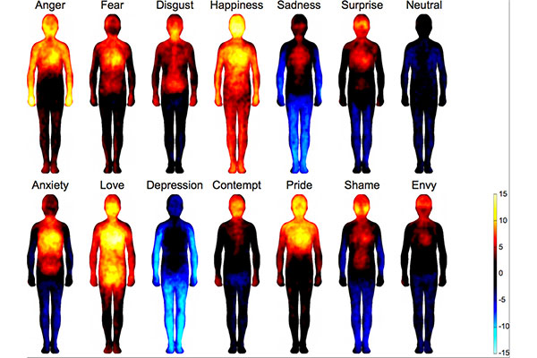 Tendance UX N2 neuroscience et ergonomie