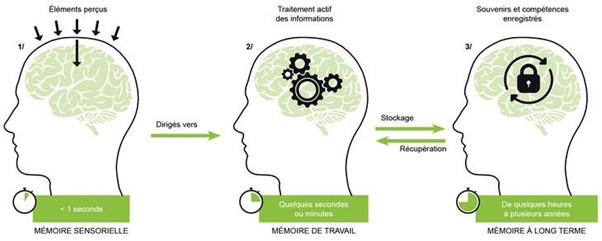 La charge essentielle (ou charge utile ou charge cognitive germane)