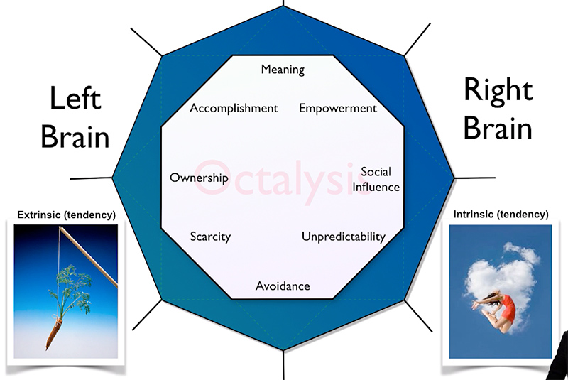 Octalysis cerveau gauche et droit