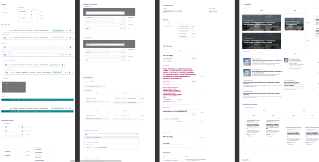 Extrait du Design System ASN suite à la refonte UX/UI réalisée par Usabilis : la librairie de composants graphiques ou kit UI.
